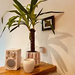 Cosy 2 Pieces Au Coeur Du Centre * Νίκαια