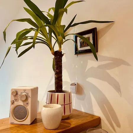 Cosy 2 Pieces Au Coeur Du Centre * Nice